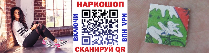 МЕФ Кыштым