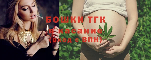 ГАЛЛЮЦИНОГЕННЫЕ ГРИБЫ Гусев