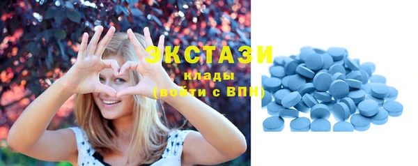 хмурый Гусь-Хрустальный