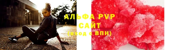 ГАЛЛЮЦИНОГЕННЫЕ ГРИБЫ Гусев