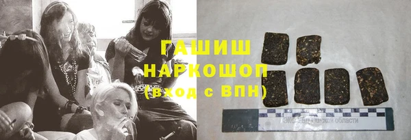 хмурый Гусь-Хрустальный