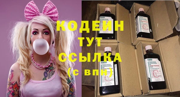 хмурый Гусь-Хрустальный