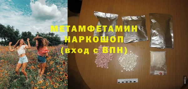 ГАЛЛЮЦИНОГЕННЫЕ ГРИБЫ Гусев