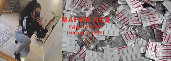 ГАЛЛЮЦИНОГЕННЫЕ ГРИБЫ Гусев