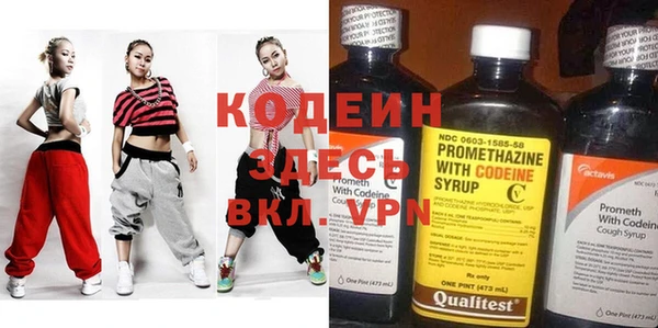 хмурый Гусь-Хрустальный