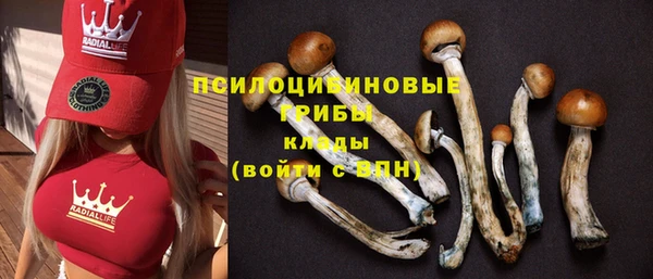 трава Гусиноозёрск
