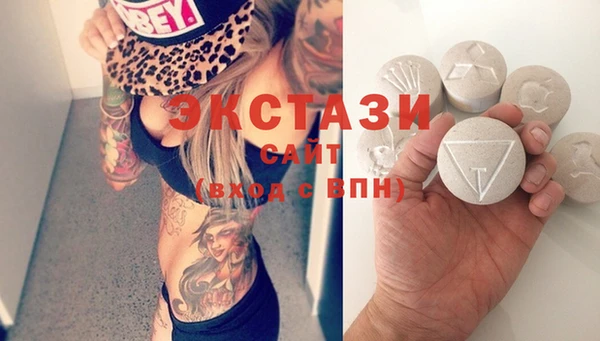 хмурый Гусь-Хрустальный