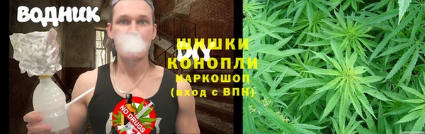 трава Гусиноозёрск